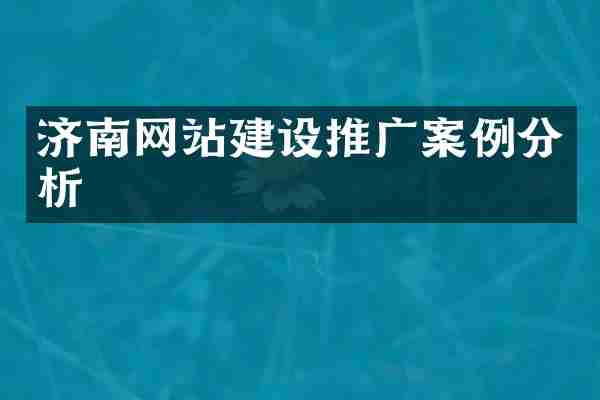 济南网站建设推广案例分析