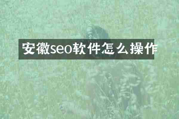 安徽seo软件怎么操作