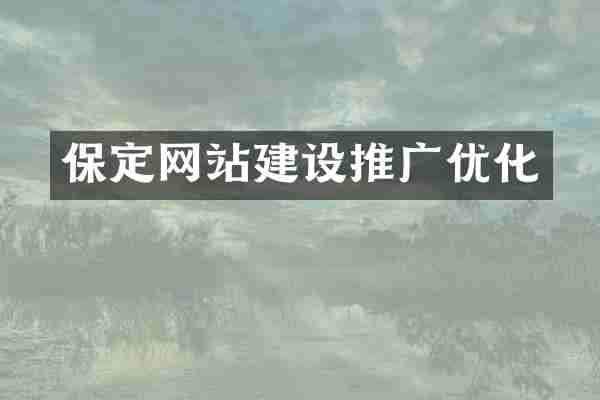 保定网站建设推广优化