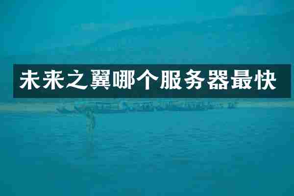 未来之翼哪个服务器最快