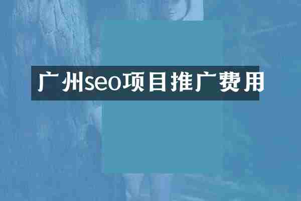广州seo项目推广费用