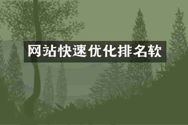 网站快速优化排名软