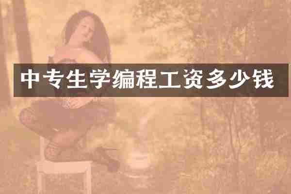中专生学编程工资多少钱