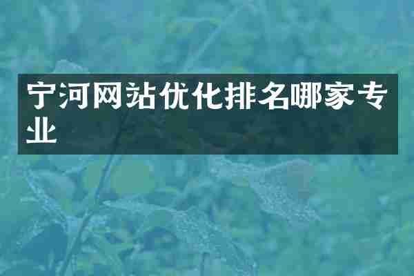 宁河网站优化排名哪家专业