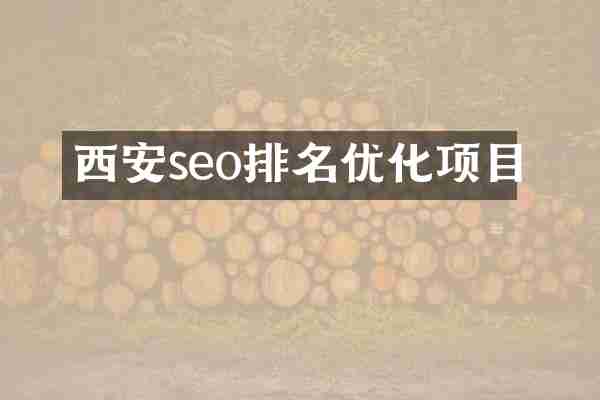 西安seo排名优化项目