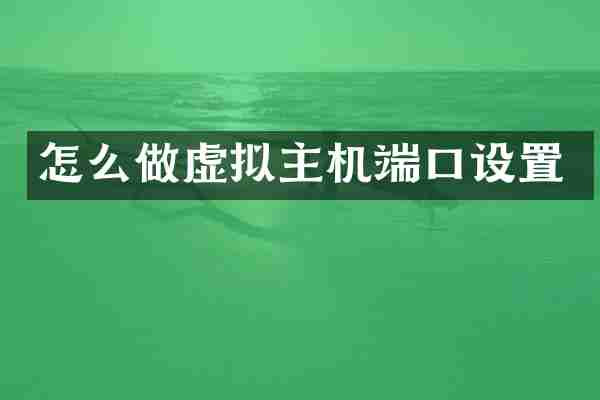 怎么做虚拟主机端口设置