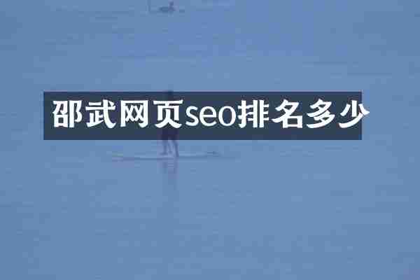 邵武网页seo排名多少