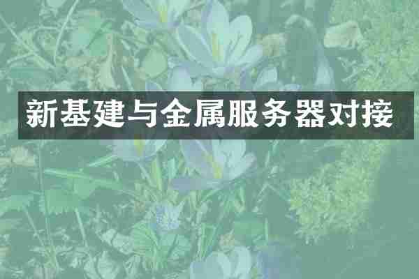 新基建与金属服务器对接