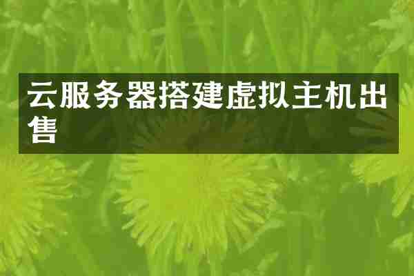 云服务器搭建虚拟主机出售