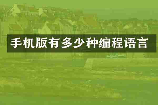 手机版有多少种编程语言