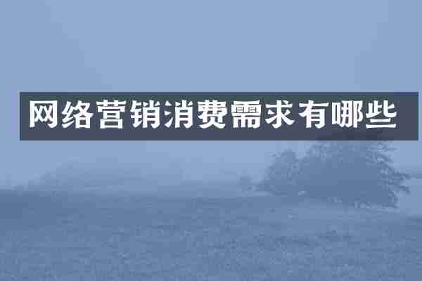网络营销消费需求有哪些