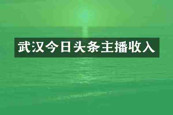 武汉今日头条主播收入