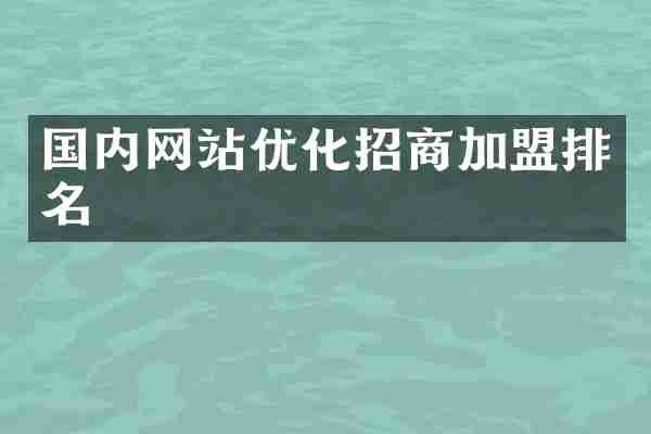 国内网站优化招商加盟排名