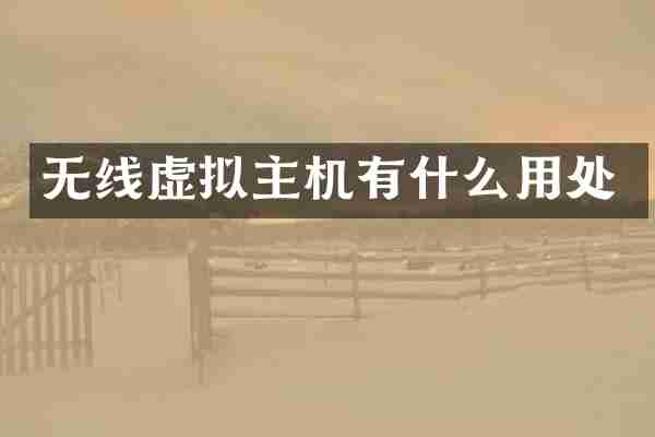 无线虚拟主机有什么用处