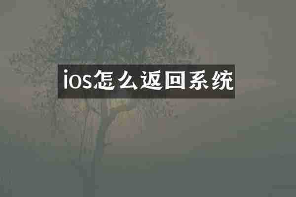 ios怎么返回系统