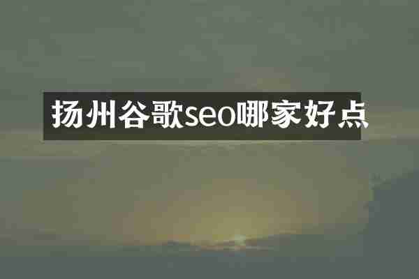 扬州谷歌seo哪家好点