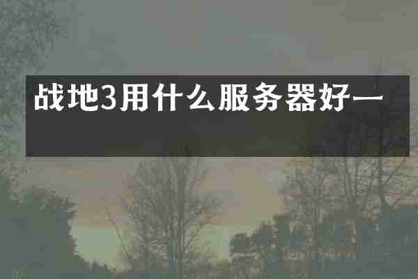 战地3用什么服务器好一点