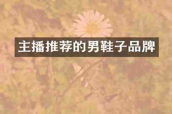 主播推荐的男鞋子品牌