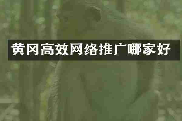 黄冈高效网络推广哪家好