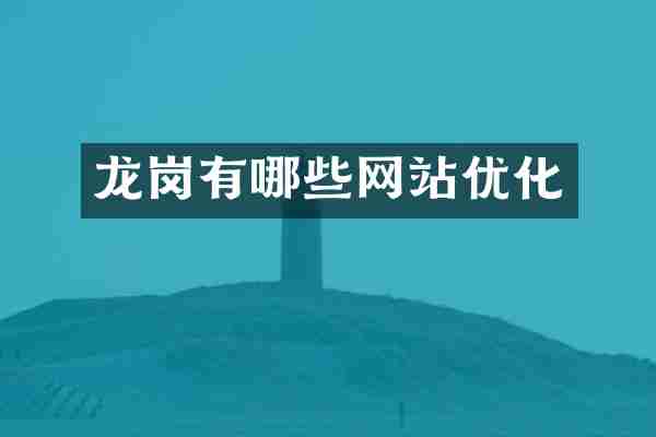 龙岗有哪些网站优化