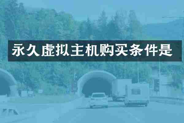 永久虚拟主机购买条件是