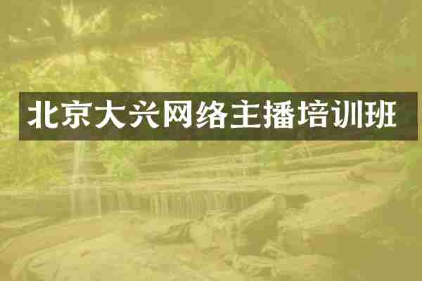 北京大兴网络主播培训班