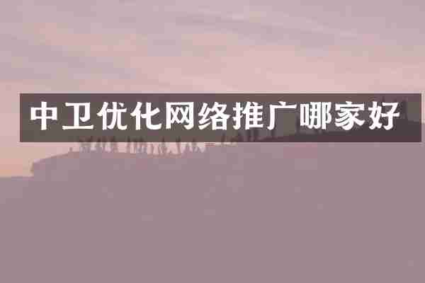 中卫优化网络推广哪家好