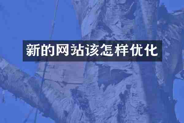 新的网站该怎样优化