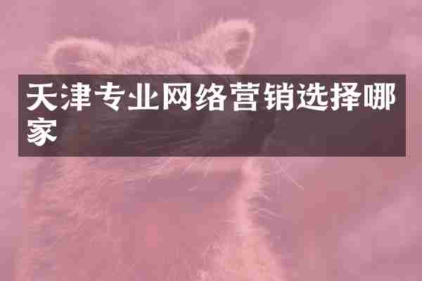 天津专业网络营销选择哪家