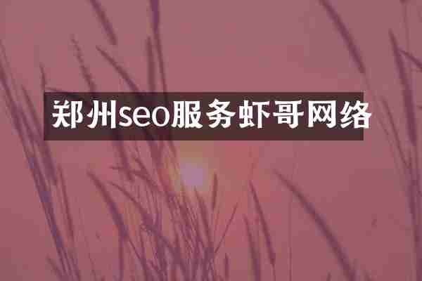 郑州seo服务虾哥网络