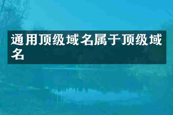 通用顶级域名属于顶级域名