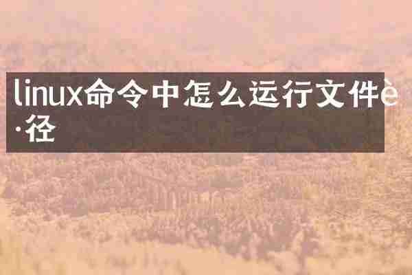 linux命令中怎么运行文件路径