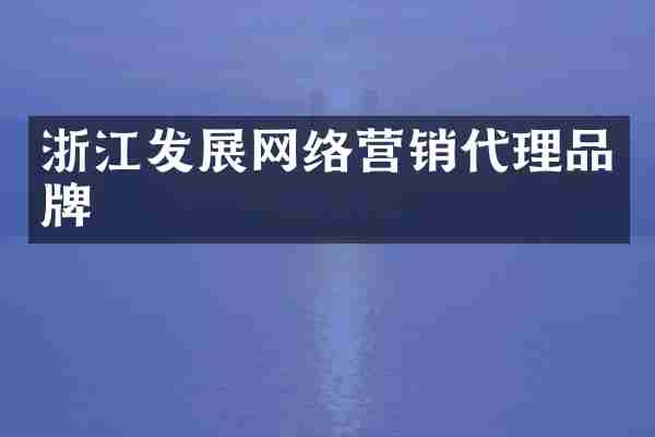 浙江发展网络营销代理品牌