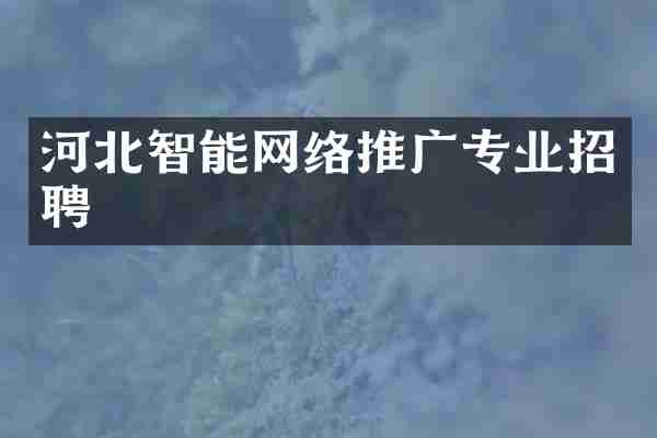 河北智能网络推广专业招聘