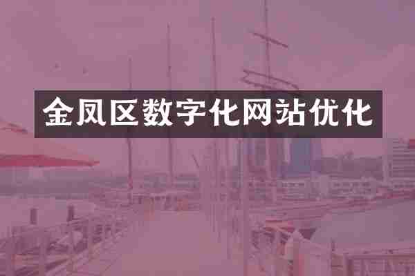 金凤区数字化网站优化