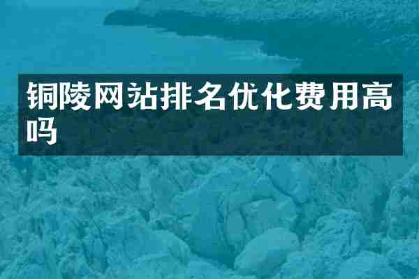 铜陵网站排名优化费用高吗