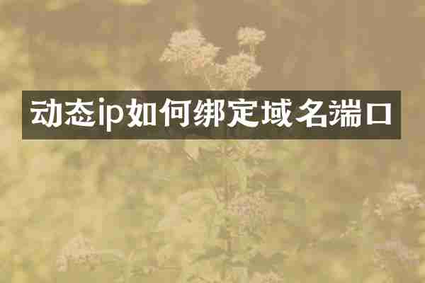 动态ip如何绑定域名端口