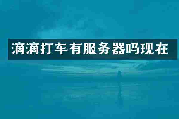 滴滴打车有服务器吗现在