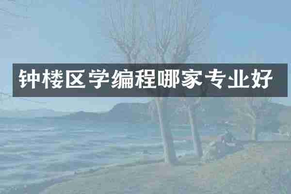 钟楼区学编程哪家专业好
