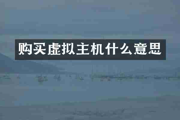 购买虚拟主机什么意思