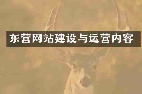 东营网站建设与运营内容