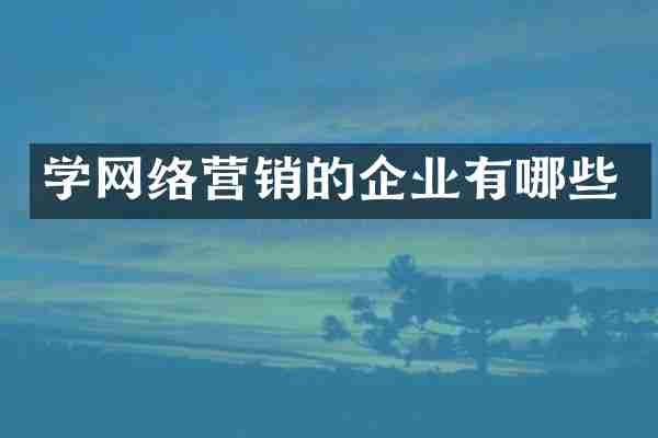 学网络营销的企业有哪些