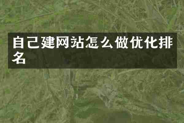 自己建网站怎么做优化排名