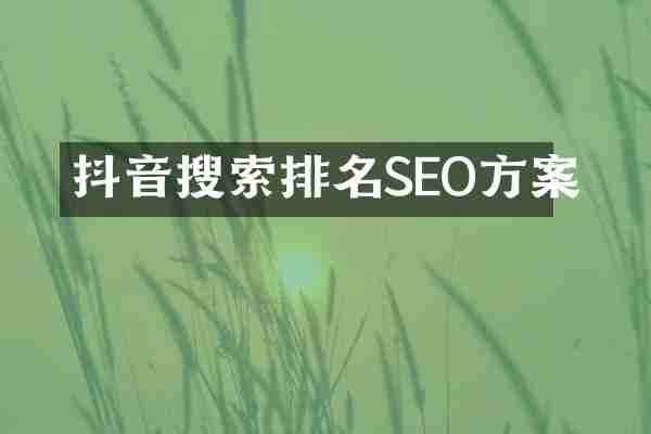 抖音搜索排名SEO方案