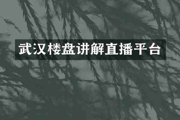 武汉楼盘讲解直播平台