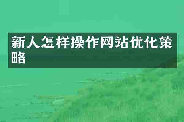 新人怎样操作网站优化策略