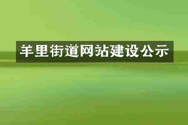 羊里街道网站建设公示