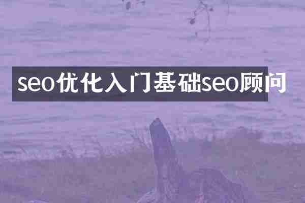 seo优化入门基础seo顾问