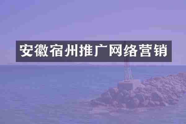 安徽宿州推广网络营销