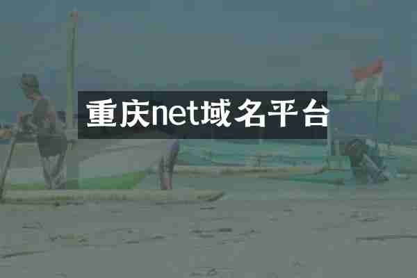 重庆net域名平台